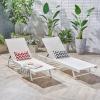 Christopher Knight Home Salton Outdoor Aluminum and Mesh Chaise Lounge Set, 2-Pcs Set, White / White