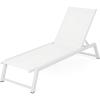 Christopher Knight Home Myers Outdoor Mesh Chaise Lounge with Aluminum Frame, White Mesh / White