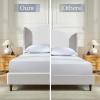 Christopher Knight Home Bacro 54″ H Tall Headboard Upholstered Bed, Queen Size Bed, Slat Support Camelback Bed, Wingback Headboard, No Box Spring Needed, Easy Assembly Chenille Headboard Bed, Ivory(Camelback Ivory)
