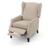 Christopher Knight Home Ellyn Fabric Recliner (Set of 2), Light Gray Tweed, Dark Brown(Wheat)