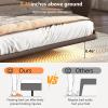 Christopher Knight Home Queen Size Floating Bedframe, Upholstered Bed Frame with Headboard, Faux Leather Platform Bed, Modern Design with LED Lighting, Easy Assembly, No Boxing Spring Needed, Coffee(Coffee Queen Size)