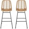 Christopher Knight Home Sawtelle Outdoor Wicker Barstools (Set of 2), Light Brown and Black
