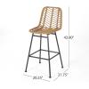 Christopher Knight Home Sawtelle Outdoor Wicker Barstools (Set of 4), Light Brown and Black