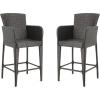 Christopher Knight Home Anaya Wicker Bar Stool, 45″, Multibrown
