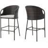 Christopher Knight Home Dominica Outdoor Wicker Barstools with Water Resistant Cushions, 2-Pcs Set, Multibrown / Light Brown