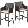 Christopher Knight Home Riga Bar Stools, 2-Pcs Set, Multibrown
