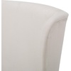 Christopher Knight Home Micua Luxury Upholstered Dining Chair with Floral Fabric Accent, Dining Room Chair with High Wingback, Comfy Living Room Chair and Birch Wood Legs, Extra Seating, Beige + Black(Beige)